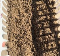 filtered medium sand